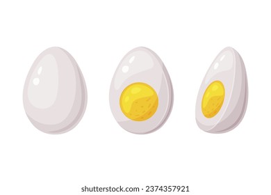 Boiled Egg Half with White and Yellow Yolk Vector Illustration