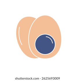 boiled egg icons  symbol vector elements for infographic web