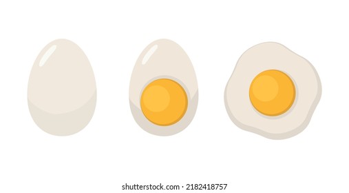 Boiled egg isolated on white background. Fried egg or scrambled egg isolated. Vector stock