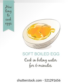 Boiled Egg vector isolated on white background