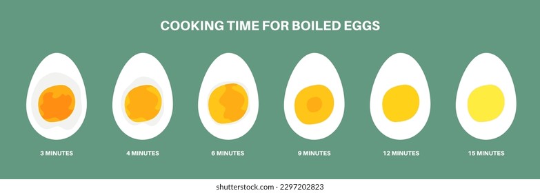 Huevos cocidos cocinando. Una manera diferente de hervir huevos. Suave, mediana y dura, 4, 8 y 12 minutos. El concepto de desayuno es sencillo. Nutrición matutina en la cocina o en el restaurante de ilustración vectorial plana