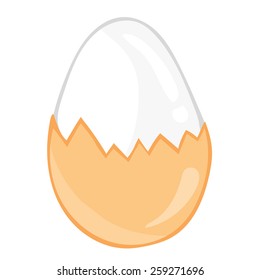 boiled eggs isolated on white background