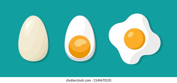 Boiled, fried and whole egg. Poached and fried scrambled egg isolated on green background. Cooking food with yolk and protein. Breakfast icon. Set of eggs. Vector.