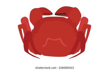 Boiled hairy crab clipart for Mid-Autumn Festival concept. Simple red Chinese hairy crab vector design illustration isolated on white background. Moon Festival or Mooncake Festival hairy crab food