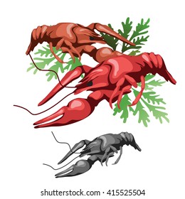 Boiled lobster decorated with greenery. Vector illustration.