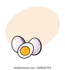 Boiled, peeled chicken egg, whole and cut in half, sketch style vector illustrationwith space for textHand drawn, sketched illustration, whole and half of hard boiled chicken egg