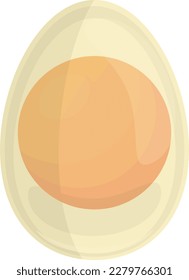 boiled penguin egg vector illustrator