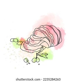 Boiled pork garnished with olives, sliced pieces on a watercolor background, doodle