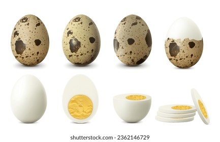 Huevos de codorniz hervidos aislados de fondo blanco. Todo texturado, roto, medio pelado, huevo pelado con pelado, huevo duro con yema. Todo, Cortar en medio huevo, vista frontal. Vector 3d realista
