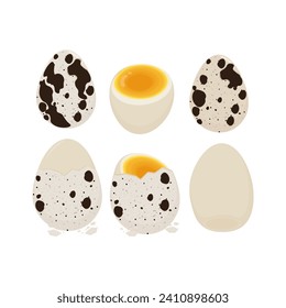 Boiled Quail egg vector illustration logo