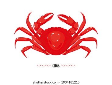 Boiled red crab top view isolated on white background. Seafood, delicacy. Vector illustration, cartoon, simbol, sign, icon, logo, sticker for poster, label, packaging