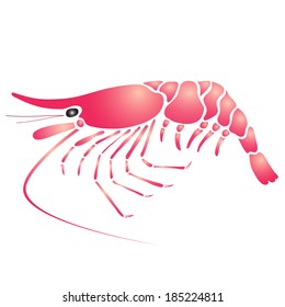  boiled shrimp