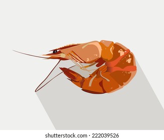 Boiled shrimp 