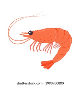 Boiled shrimp or tiger prawns isolated on white background. Vector illustration.