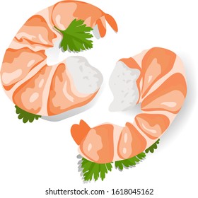 Boiled shrimp vector on white background