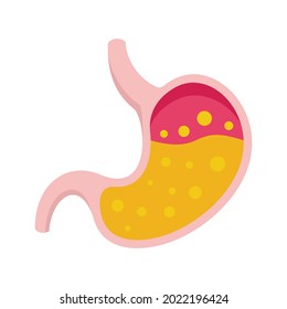 Boiling stomach icon. Flat illustration of boiling stomach vector icon isolated on white background