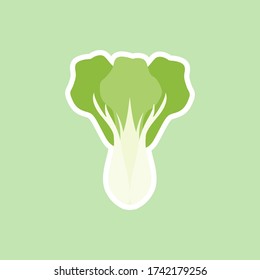 bok choi, also pak-choi cabbage vector illustration in cartoon flat style isolated on color background. Chinese kale