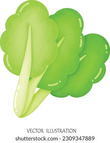 Bok choy asian vegetable cartoon drawing