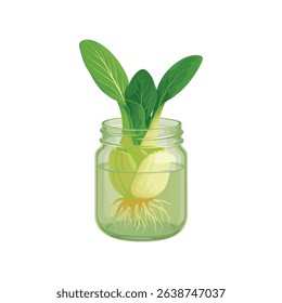 A bok choy base submerged in water with fresh sprouts appearing, captured with a clean aesthetic.