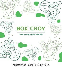 Bok choy (Brassica rapa subsp. chinensis) hand drawn vegetable background, vector illustration.