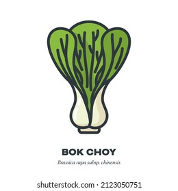 Bok Choy cabbage leaf vegetable icon, outline with color fill style vector illustration