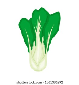 Bok Choy Cabbage Vector Illustration In Cartoon Flat Style Isolated On White Background. Chinese Kale