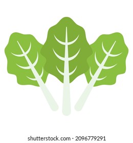 bok choy flat clipart vector illustration