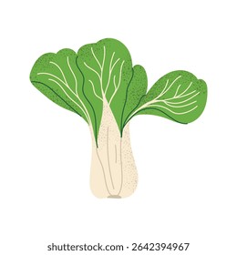 Bok Choy. Vegetal desenhado à mão plana. Alimentos orgânicos de folha asiáticos. Ilustração vetorial isolada sobre fundo branco.