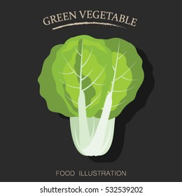 Bok choy flat icon isolated on black background. Healthy food vector illustration