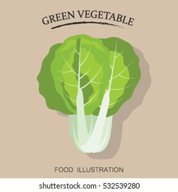 Bok choy flat icon isolated. Healthy food vector illustration