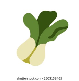 Bok choy, fresh green leafy vegetable. Organic Asian food, healthy natural leaf crop. Raw bokchoy bulb, vegetarian eating. Vitamin veggie. Flat vector illustration isolated on white background