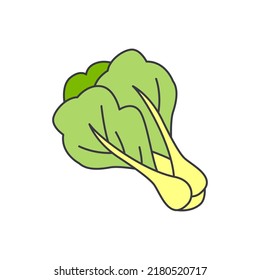 Bok choy icon in color, isolated on white background 