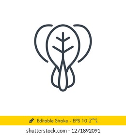 Bok Choy Icon / Vector - In Line / Stroke Design