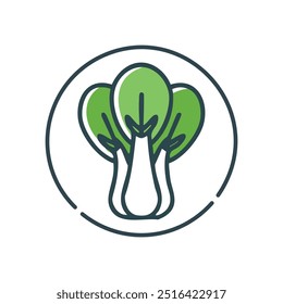 Ilustração de Bok Choy. Livro verde choy vegetal ilustração com três folhas. Perfeito para projetos relacionados a marcas e alimentos.