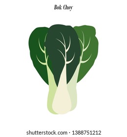 Bok choy illustration on the white background. Vector illustration Bok choy illustration on the white background. Vector illustration