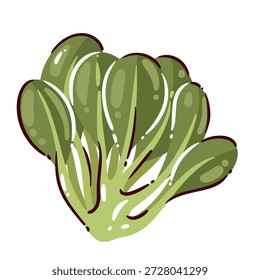 Bok choy leafy vegetable with green leaves and pale stems, fresh pak choi cabbage, asian greens for cooking and cuisine, raw organic produce, cartoon vector illustration