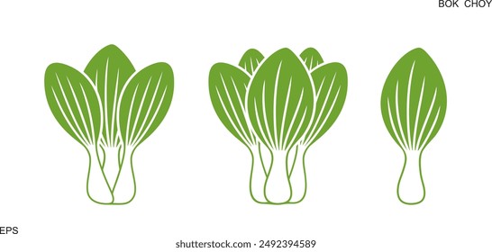 Bok choy  logo. Isolated bok choy on white background