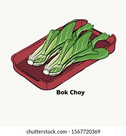 Bok Choy on red plate,vegetable for Japanese grill, korean grill, thai pan bbq grill. Drawing illustration vector.