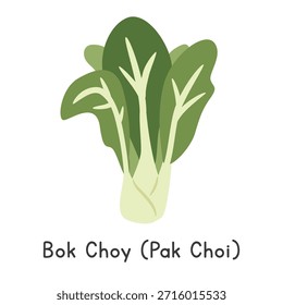 Bok Choy (Pak Choi) Ilustração plana do vetor do desenho animado isolada no fundo branco