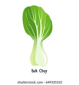 Bok choy or pak choi type of Chinese cabbage vector