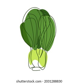 Bok choy, pak choy, kale, mustard or celery, white mustard celery, chinese chard drawn in a dark solid line against a background of abstract spots of green shades on a white background