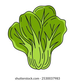 Bok choy salad, farm or garden seasonal vegetables, vector outline green veggies, flat illustration. Healthy nutrition, organic food, natural product. Symbol for sticker, logo, print