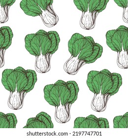 Bok choy seamless pattern. Hand drawn background. Vector illustration. Color illustration.  Bok choy vegetable hand drawn backdrop.