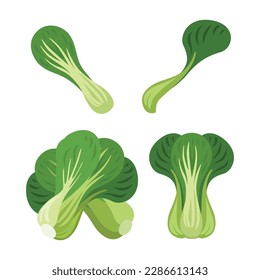 Bok choy, Set of bok choy isolated on white background, Vector illustration.