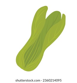 Ilustración de material vectorial de juguete negro. Hojas de lechuga verde. Aislado sobre un fondo blanco.