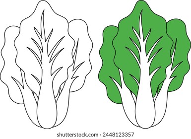Bok Choy Vegetable Isolated vector illustration Coloring Page
