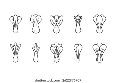 Bok Choy Vegetable Line Art Icon