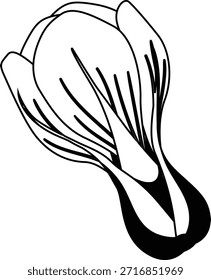Bok Choy vegetable mono shadow illustration