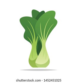 Bok choy vegetable vector isolated illustration