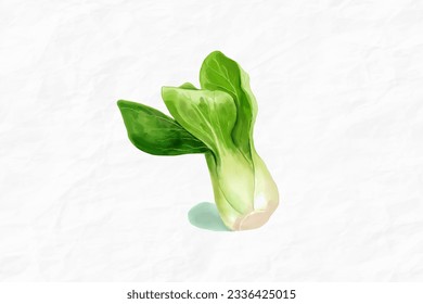 Bok choy vegetable water color